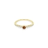 Goldring mit farbigen Steinen