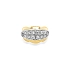 Kombination Goldring mit Zirkoy