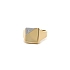 Herrenring mit Zirkon aus Kombinationsgold