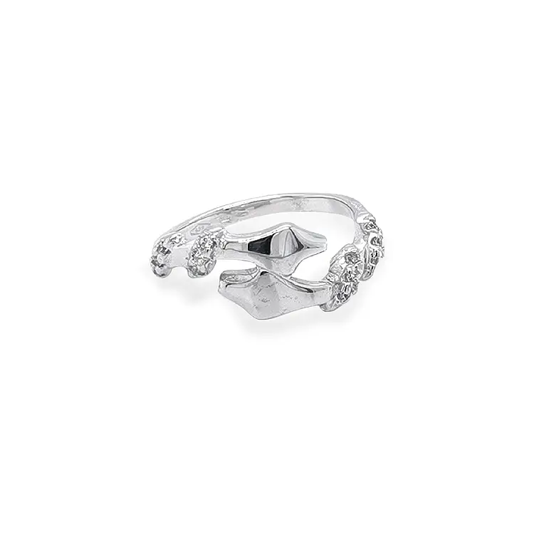 Goldring mit Zirkonen