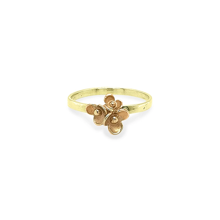 Goldring Blume