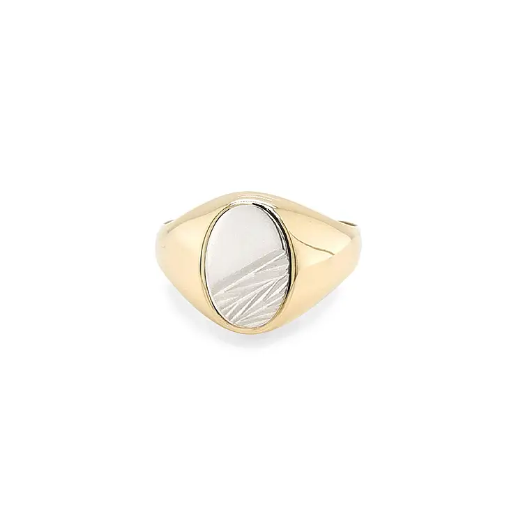 Herren-Kombi-Ring aus Gold