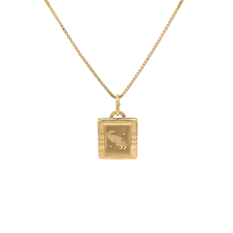 Gold-Anhänger Wassermann