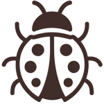 Marienkäfer