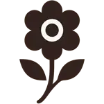 Blume
