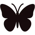 Schmetterling