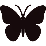Schmetterling