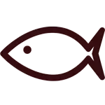 Fisch