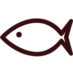 Fisch